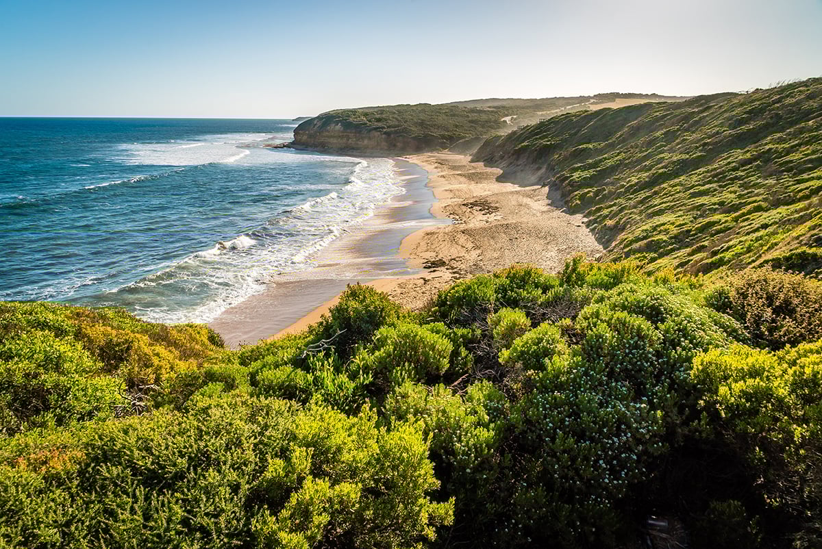 Bells Beach Surfing
