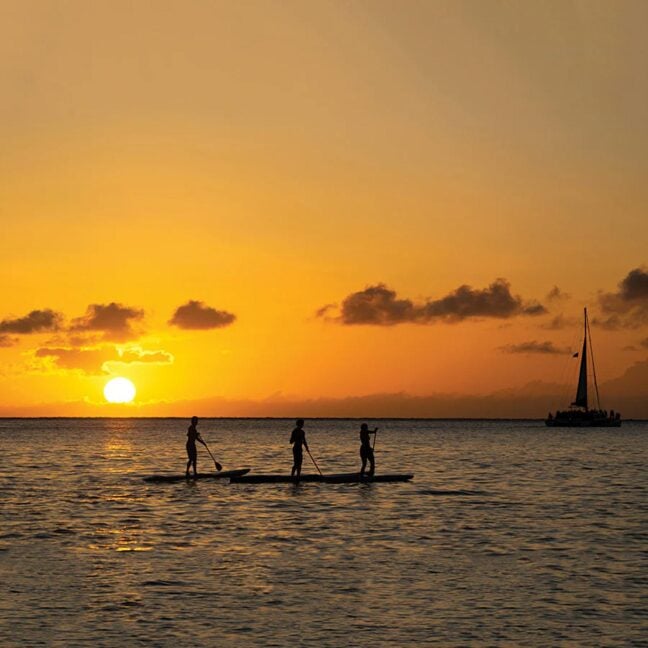 Ocean And Earth Cruiser Epoxy 10`0" Sup White. Ocean And Earth Sups in Boardsports Sups & Boardsports Sup. Code: SUPCR10