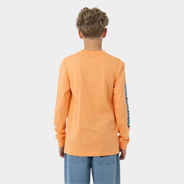 Santa Cruz Skateboards Decaying Hand Centre Ls T Orange. Santa Cruz Skateboards Tees - Long Sleeve in Boys Tees - Long Sleeve & Boys T-shirts & Singlets. Code: SB125-LS01