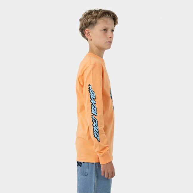Santa Cruz Skateboards Decaying Hand Centre Ls T Orange. Santa Cruz Skateboards Tees - Long Sleeve in Boys Tees - Long Sleeve & Boys T-shirts & Singlets. Code: SB125-LS01