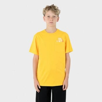Santa Cruz Skateboards Screaming Foam Ss Teee Yellow. Santa Cruz Skateboards Tees in Boys Tees & Boys T-shirts & Singlets. Code: SB324-SS04
