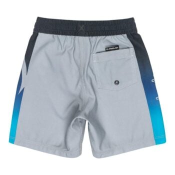 Quiksilver Everyday Holmes Volley Bo Quarry Holmes. Quiksilver Boardshorts - Elastic Waist in Boys Boardshorts - Elastic Waist & Boys Shorts. Code: EQKJV03267