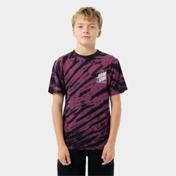 Santa Cruz Skateboards Not A Dot Hollow Tee Maroon Tie Dye. Santa Cruz Skateboards Tees in Boys Tees & Boys T-shirts & Singlets. Code: SB225-SS12