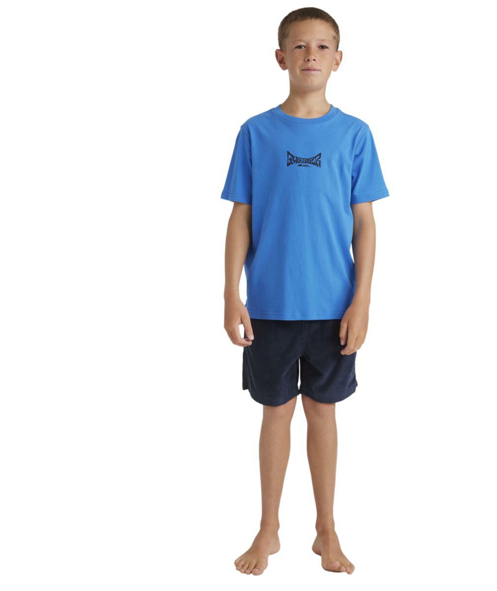 Quiksilver Foam Ball Ss Yth Nebulas Blue. Quiksilver Tees in Boys Tees & Boys Tops. Code: 25C353573