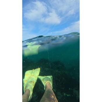 Da Fin Da Fin Signature 3.0 Wawamalu. Da Fin Flippers in Boardsports Flippers & Boardsports Bodyboard. Code: ZAK