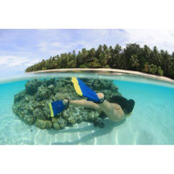 Da Fin Da Fin Flippers Navy Yellow. Da Fin Flippers in Boardsports Flippers & Boardsports Bodyboard. Code: DAFIN
