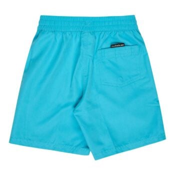 Quiksilver Everyday Vert Volley Boy Horizon Blue. Quiksilver Boardshorts - Elastic Waist in Boys Boardshorts - Elastic Waist & Boys Shorts. Code: EQKJV03256