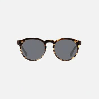 Carve Hudson Velencia Tort Tort. Carve Sunglasses in Womens Sunglasses & Womens Eyewear. Code: 27871