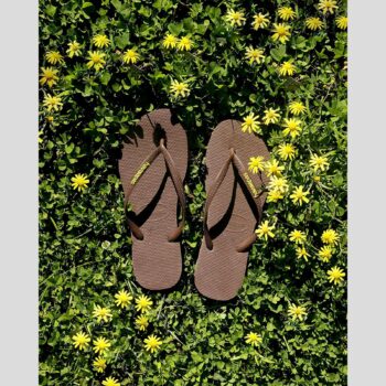 Havaianas Slim Rubber Logo Brown/gr Brown/green. Havaianas Thongs in Womens Thongs & Womens Footwear. Code: HRLL2266