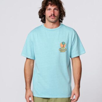 Critical Slide Society Oasis Tee Aqua. Critical Slide Society Tees in Mens Tees & Mens T-shirts & Singlets. Code: TE26001