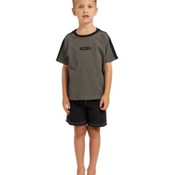 Billabong Groms Spec Iconic Ss Forest. Billabong Fashion Tops in Boys Fashion Tops & Boys Tops. Code: UBTKT00111