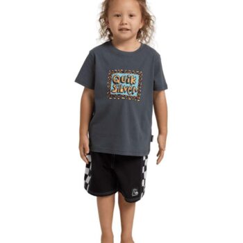 Quiksilver Retro Stack Ss Boy Iron Gate. Quiksilver Tees in Boys Tees & Boys T-shirts & Singlets. Code: UQKZT03485