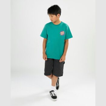 Santa Cruz Skateboards Meek Scratched Ss Tee Teal. Santa Cruz Skateboards Tees in Boys Tees & Boys T-shirts & Singlets. Code: SB225-SS04