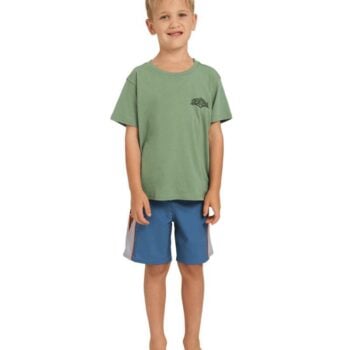 Billabong Groms Reverse Ss Hedge Green. Billabong Tees in Boys Tees & Boys T-shirts & Singlets. Code: UBTZT00229